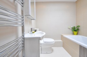 Raleigh Toilet Repair