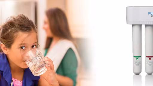 Progressive Puronics Water Filtration Hero